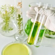 Decorative image showing organic material in test tubes